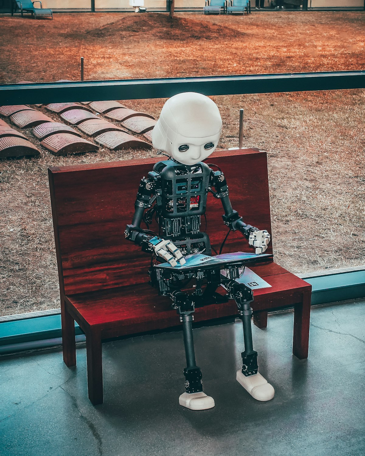 Robot reading on a bench
